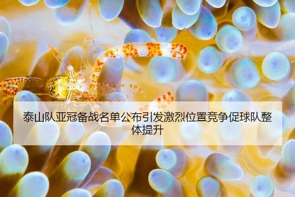 泰山队亚冠备战名单公布引发激烈位置竞争促球队整体提升