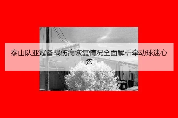 tai-shan-dui-ya-guan-bei-zhan-shang-bing-hui-fu-qing-kuang-quan-mian-jie-xi-qian-dong-qiu-mi-xin-xian-1-911.jpg